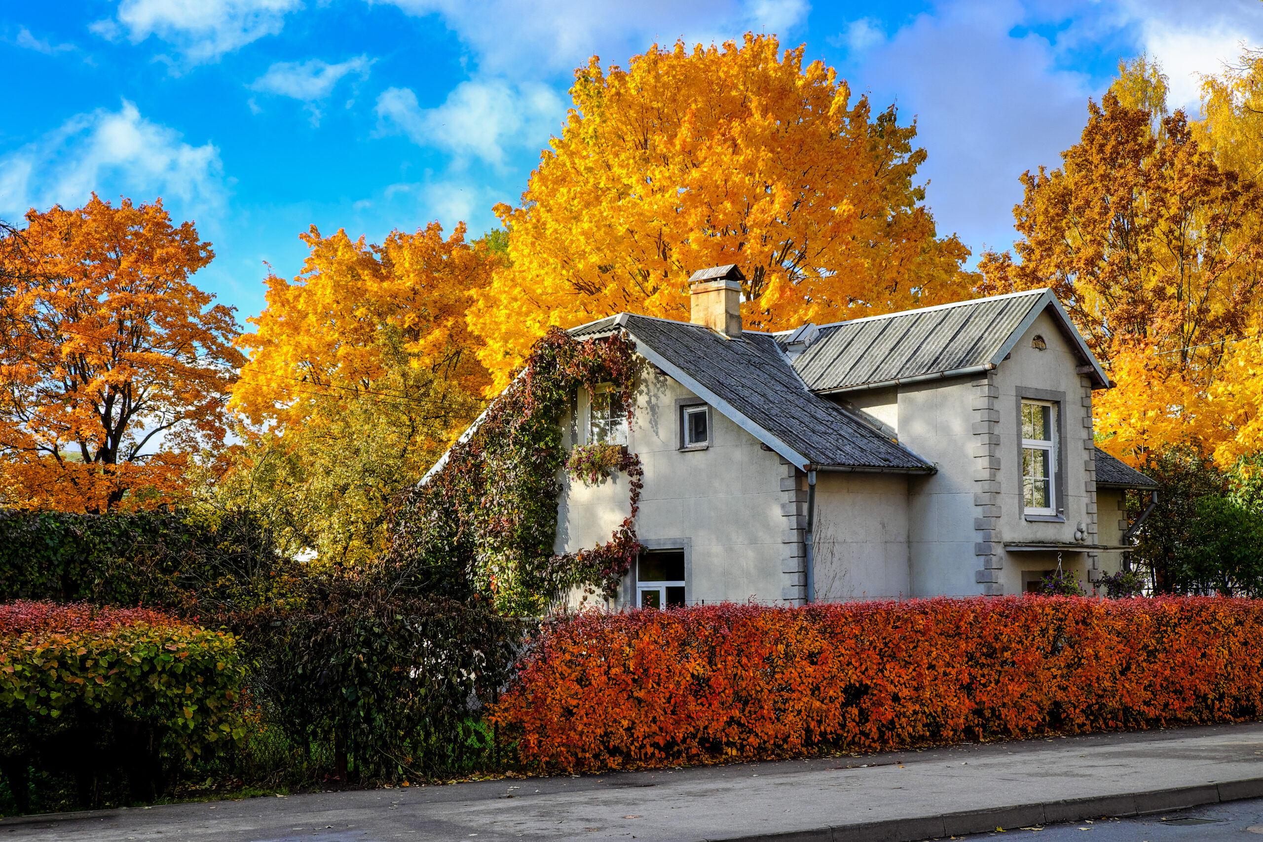 Plantes et déco d’automne : nos 5 coups de cœur pour réchauffer la maison !