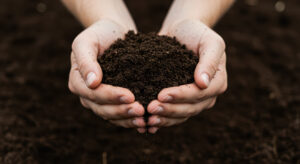 Mila : “évitez le terreau industriel, faites-le vous-même, ce n’est pas compliqué !”