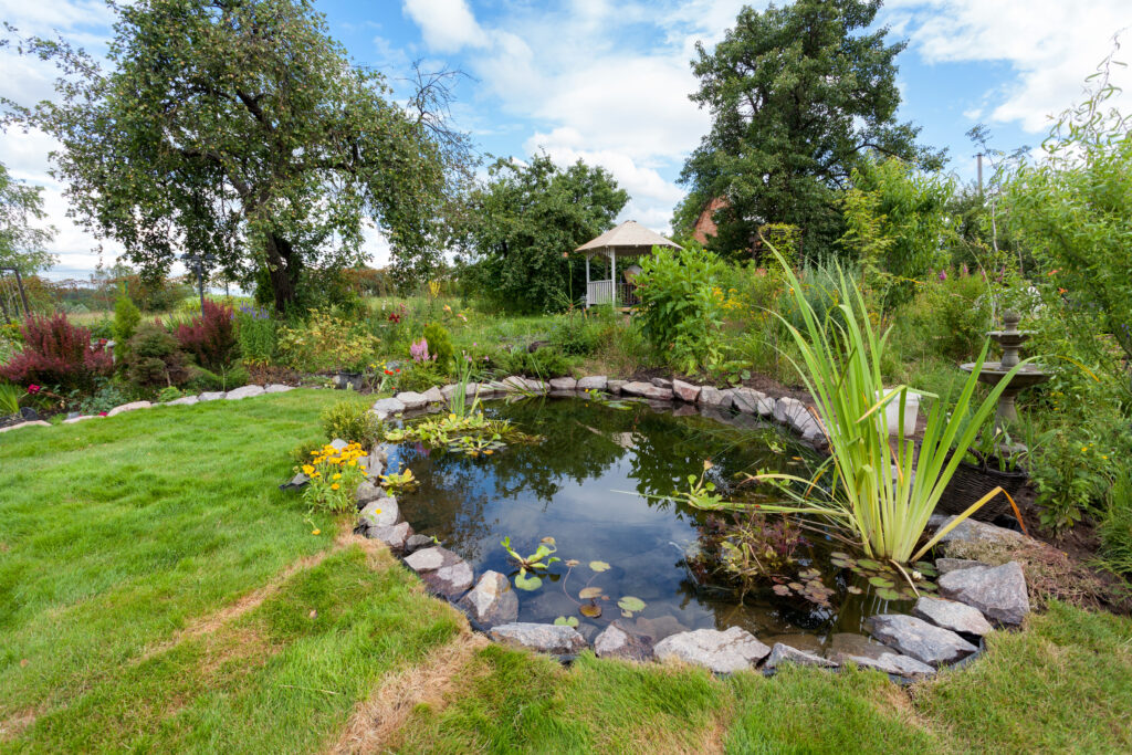 Beautiful designed garden fish pond with water-lily in a well cared backyard gardening background