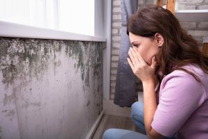 Understanding rental guarantees and tenant damages in Belgium
