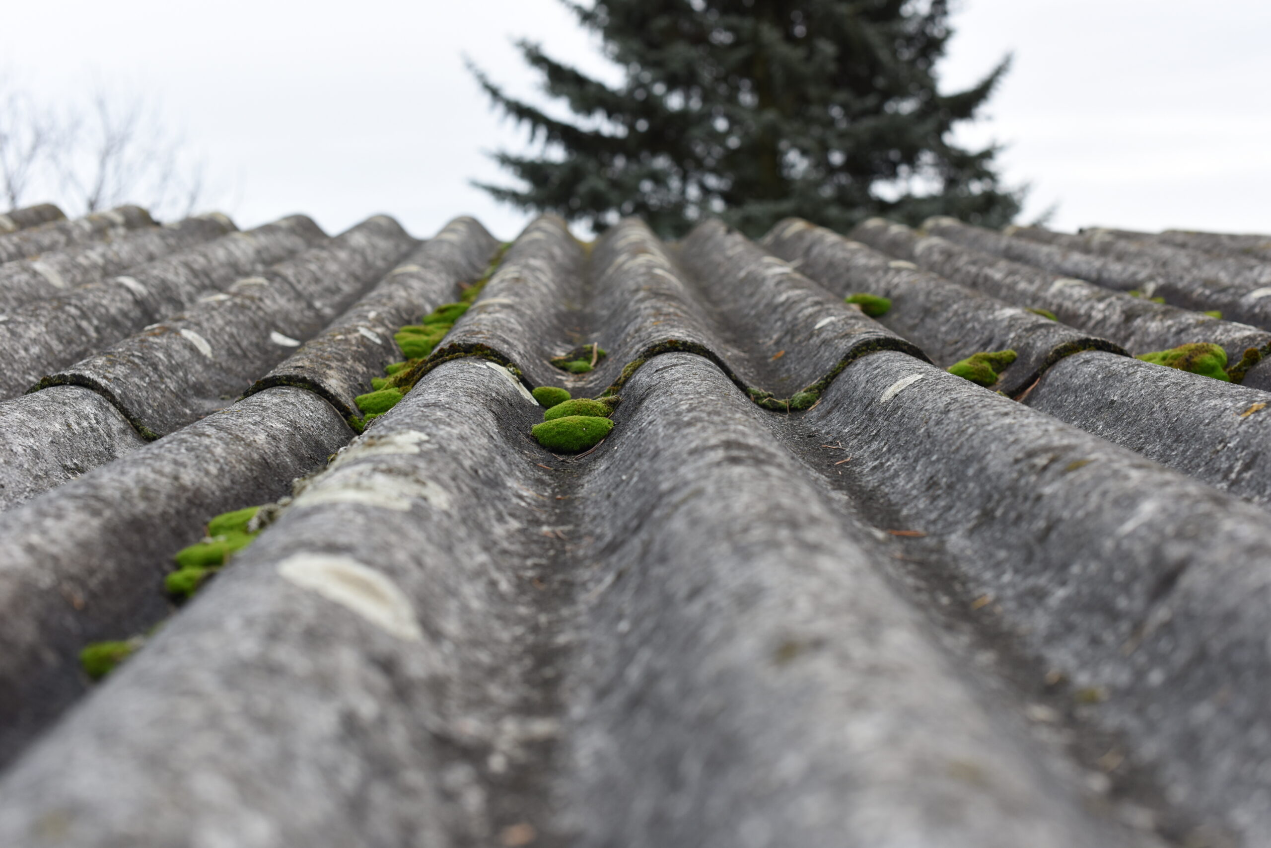 Een asbestattest nodig voor je woning?