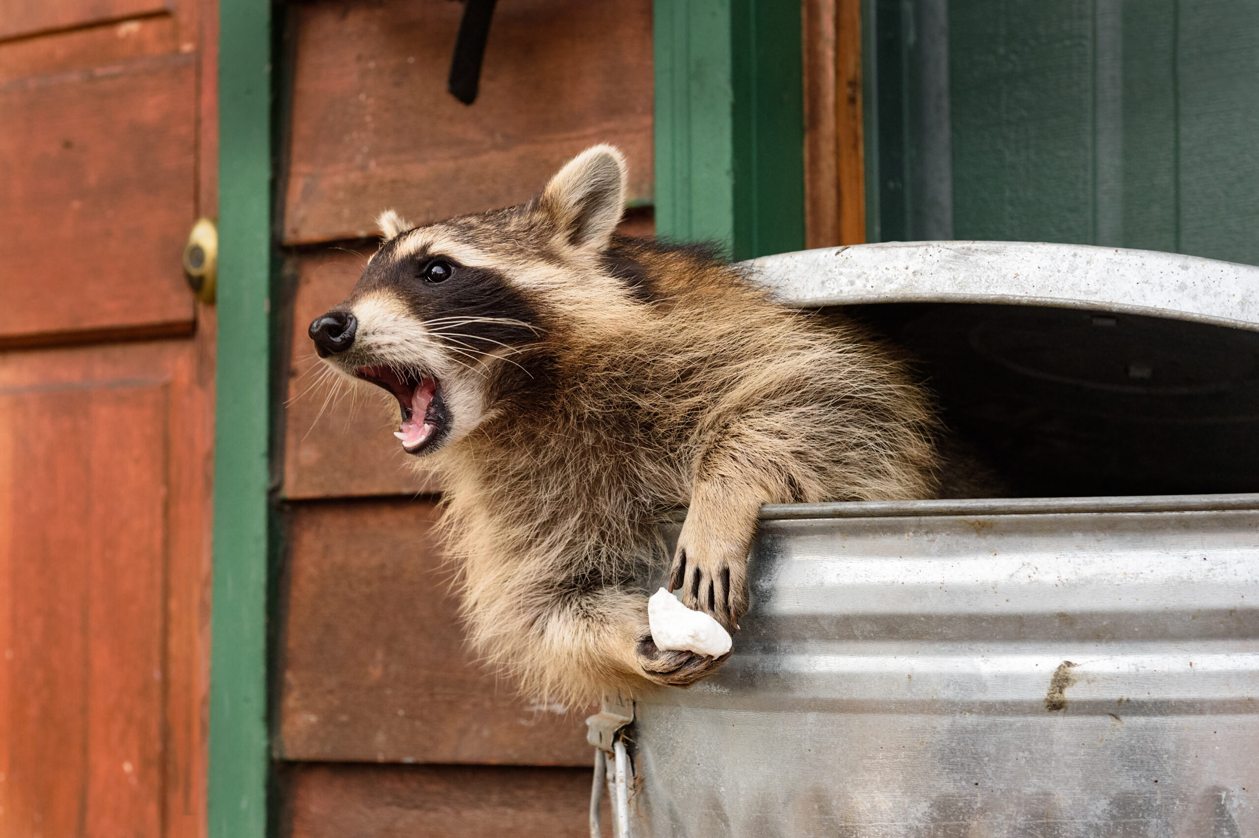 Trash outside