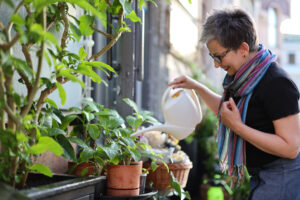 4 conseils pour garder vos plantes en vie pendant votre voyage