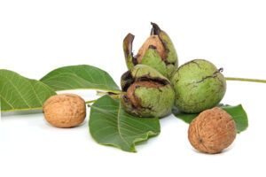 Mila: “Notenbolsterbeits, een magisch product voor in huis!”