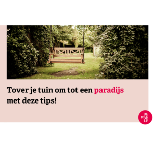 Tips om je tuin in te richten als een paradijs