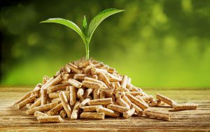 Crise énergétique | Se chauffer aux pellets : avantages et inconvénients