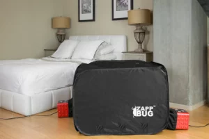 Innovation : enfin une solution efficace et rapide contre les punaises de lit ?