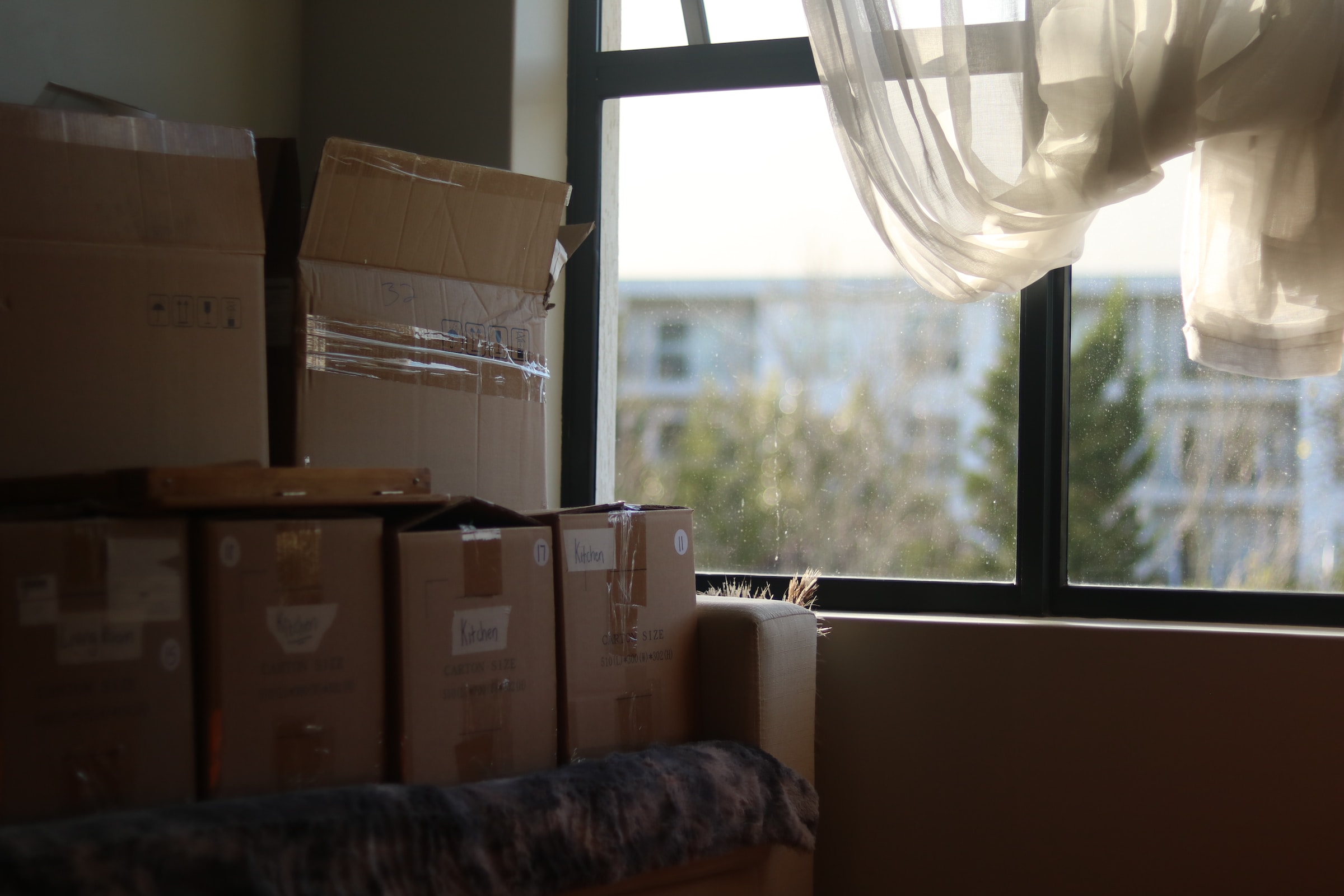 Essential packing tips for a stress-free move