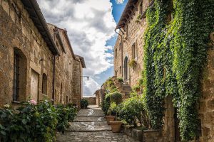 Plantes grimpantes : lesquelles privilégier pour habiller un mur ?