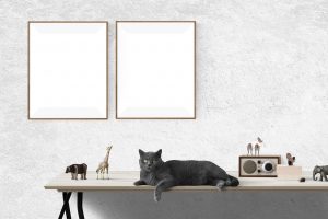 5 alternatives au forage dans le mur