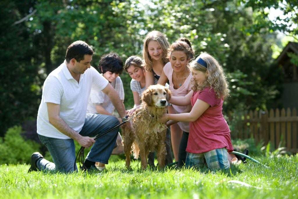 family garden