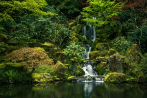 How to design a Japanese garden: Tips for serenity