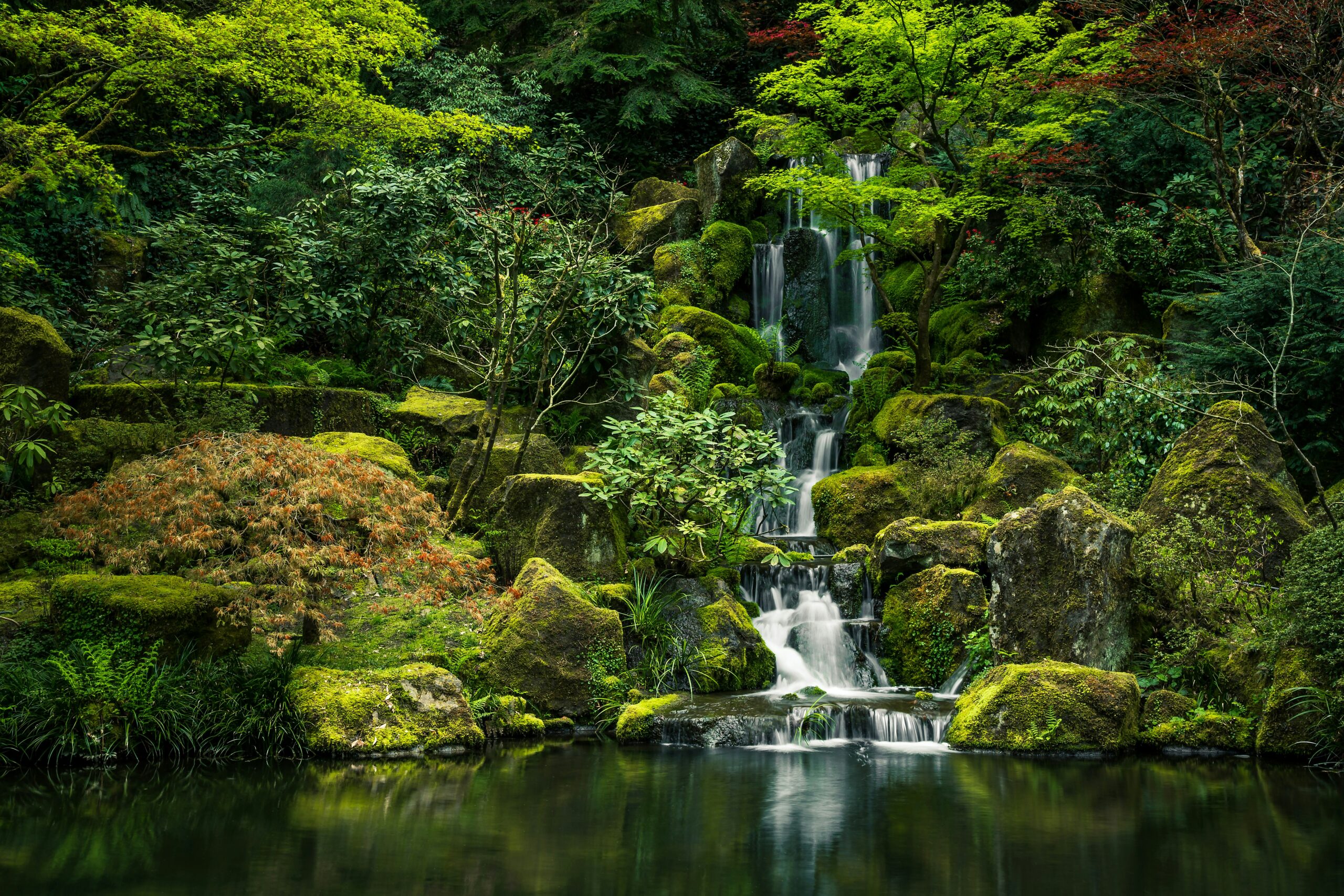 Se créer un jardin japonais 