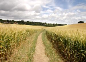 Servitude : voici ce que vous devez savoir !