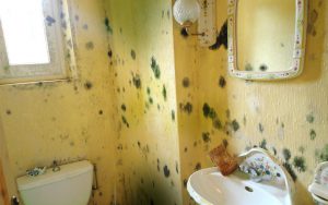 5 dégâts des eaux qu’on ne voudrait pas avoir chez soi