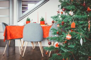 Mila : “Mes 5 conseils pour préserver son sapin de Noël coupé !”