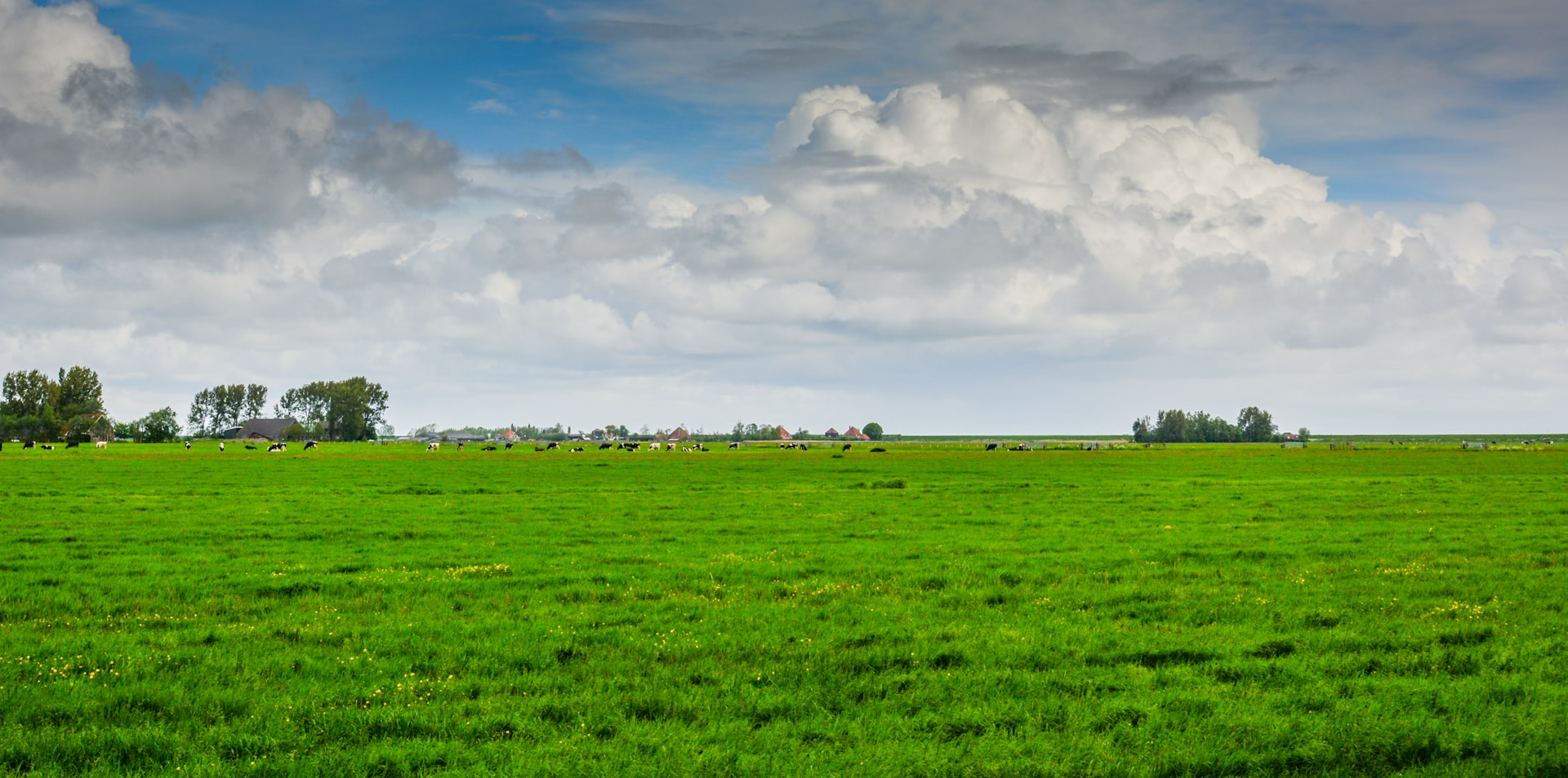 Kan je grond onbebouwbaar worden als hij in overstromingsgebied ligt? We bekijken hoe het zit!