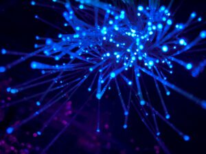 Fiber optic switch: Is Proximus forcing customers?