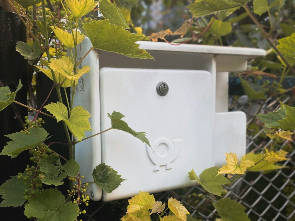 letter box