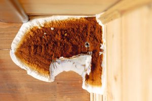 Locataire ou propriétaire : qui doit payer pour se débarrasser de la mérule?