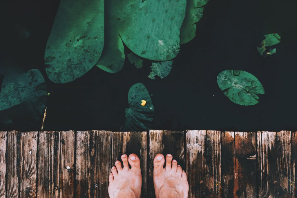 natural pool