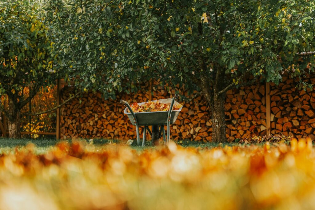 garden dead leaves