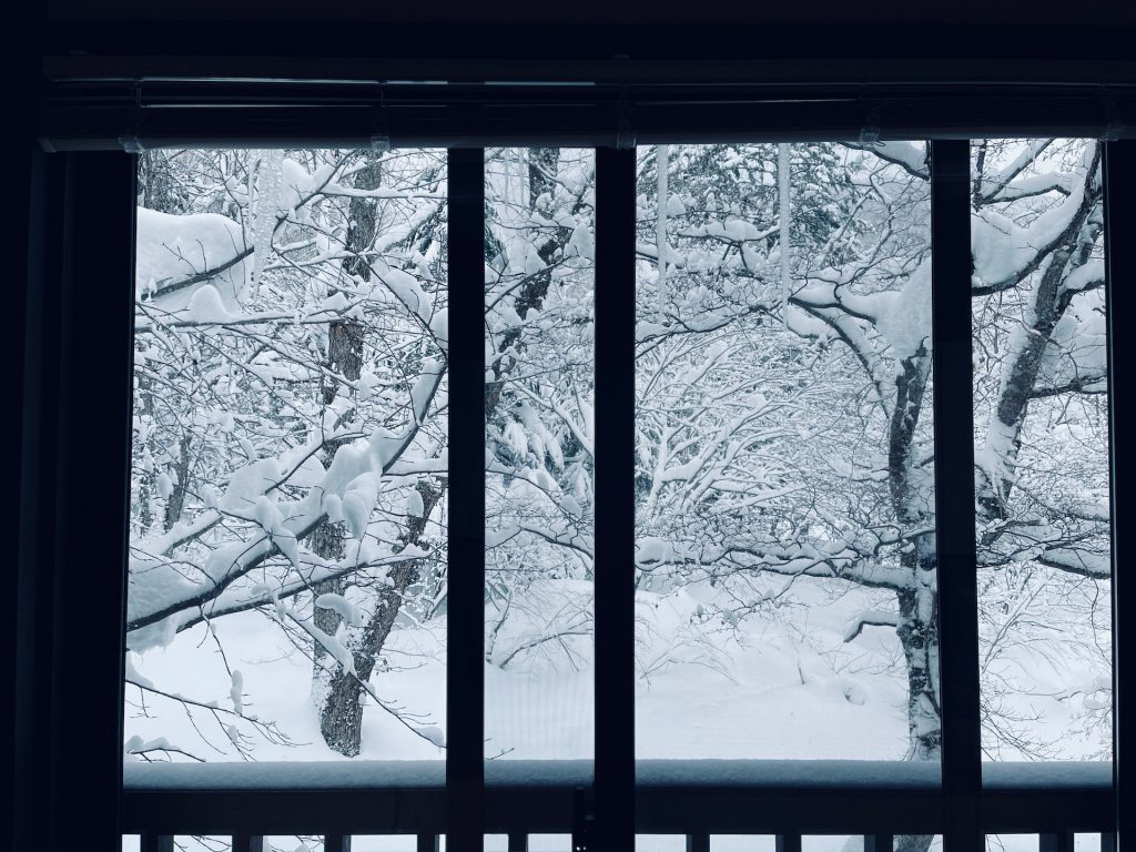 window winter