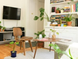 5 planten die de lucht in huis zuiveren