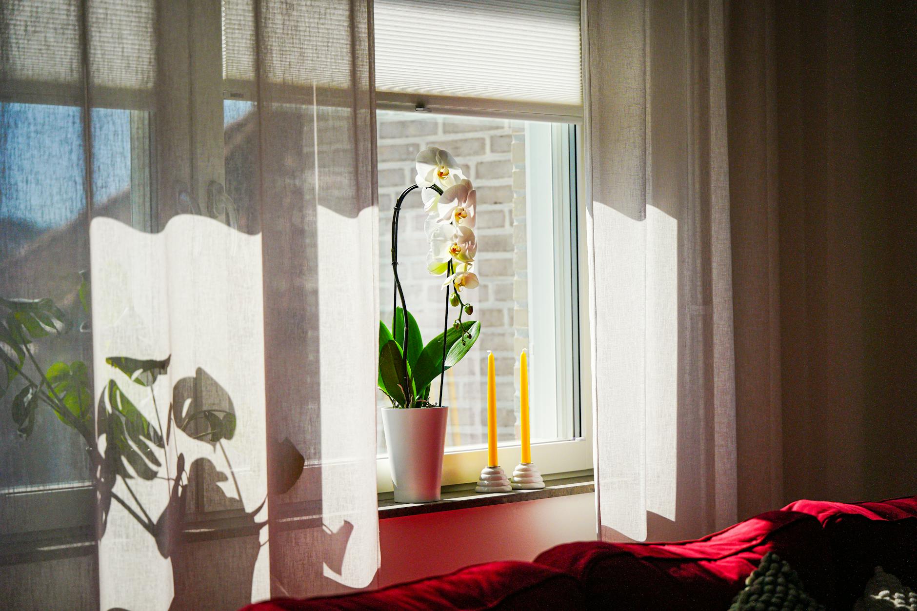 5 tips voor de ideale lichtinval en privacy in je nieuwe woning