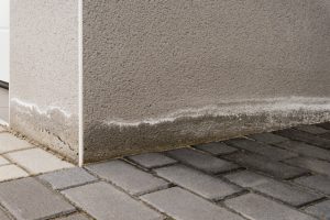 Voici comment lutter contre le salpêtre