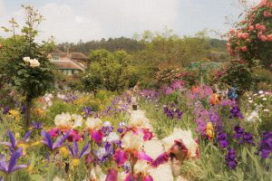 Budget-friendly tips to spruce up your garden this spring