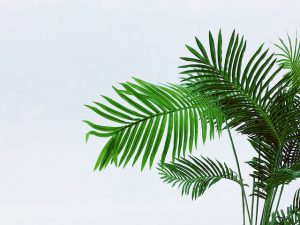 Mila : “La grande tendance du moment coûte trois fois rien à bricoler !”