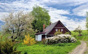 5 conseils pour faire entrer le printemps dans la maison !