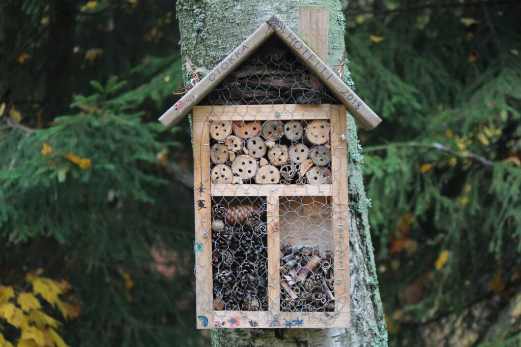 insect hotel