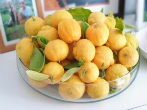 Mila: “8 verrassende manieren om citroen te gebruiken in huis!”