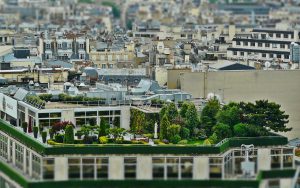 Green roofs: a cost analysis for eco-friendly living