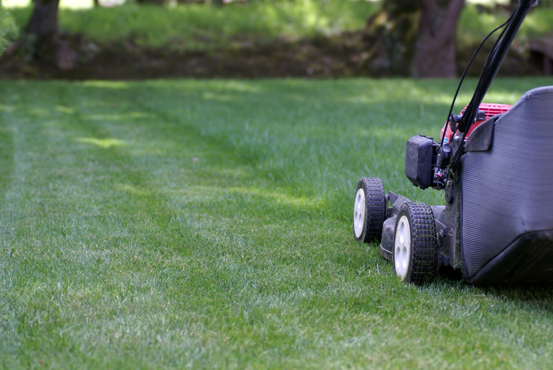 First mow of the year sale