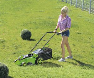 Quand tondre pour la première fois ?