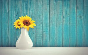 Les vases font leur grand retour !
