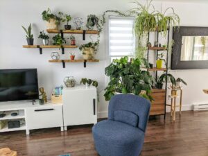 5 plantes d’intérieur faciles à entretenir